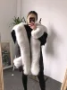 Volpe bianca naturale