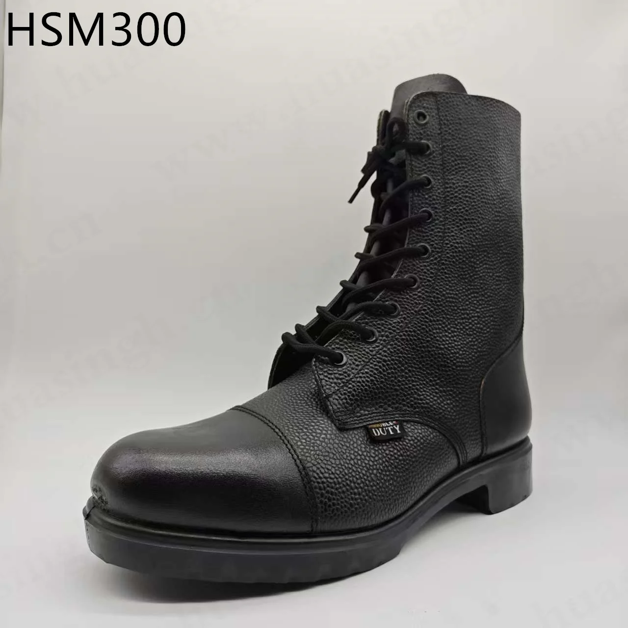 HSM300 ()