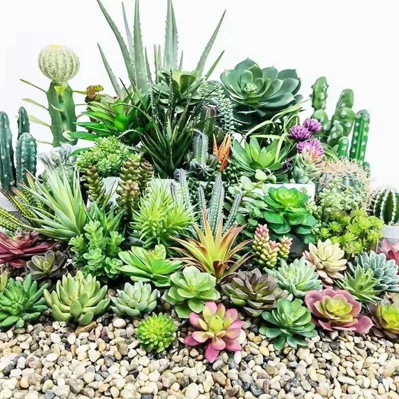 Wholesale Mini Cactus Assortment Outdoor Indoor Decorative Artificial Grass  Succulents Hanging Arrangement Sale| Alibaba.com