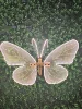 1-40 cm-bianco