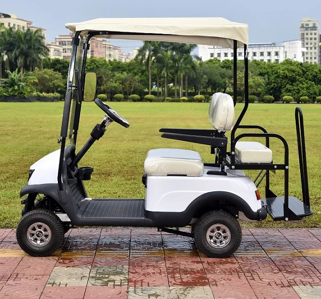 Smart Mini Single Wheel Drive Electric Golf Cart Person
