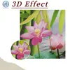 3D