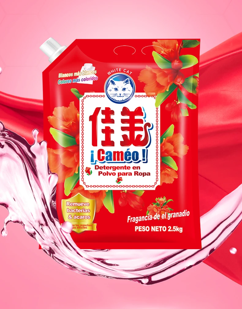 Famous detergent washing powder factory detergent powder OEM brands 