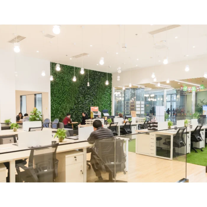 Shenzhen Dalu Electronics Co., Ltd. 2