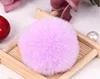 Taro Purple