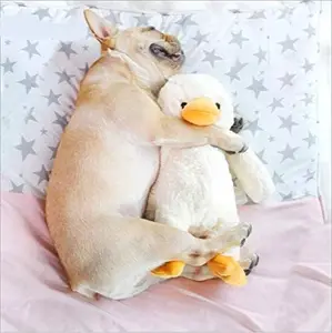 Plush Duck Dog Toy Stuffed Animal Squeaky  Toys Soft Pillow Snuggle Cuddle Puppy Toy