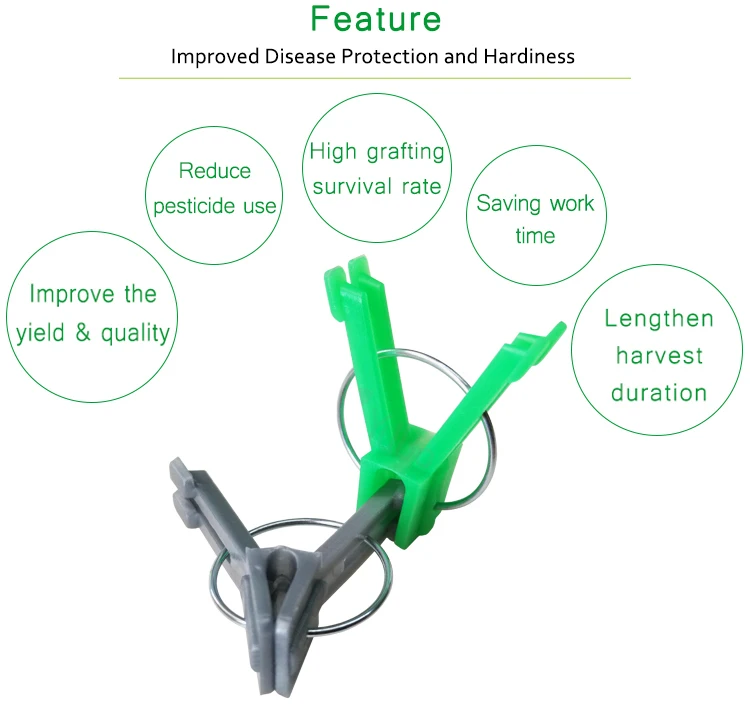 Spring Loaded Side-Grafting Clip