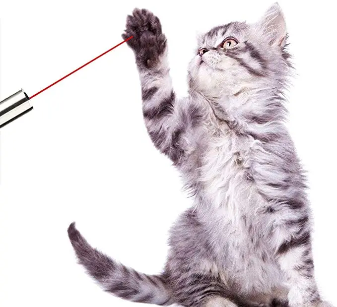 safe laser pointer for cats