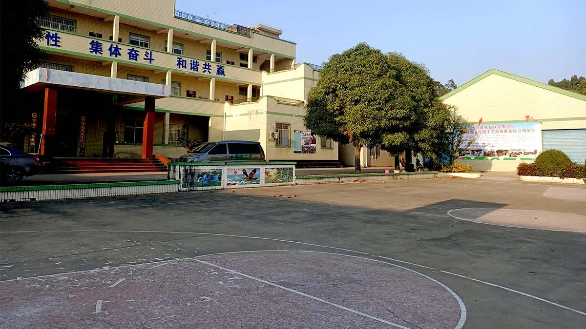 Beihai Hiyi Trading Company Limited 1