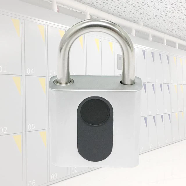 padlock bike wiht alarm