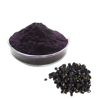 Best Quality Chinese Herb Medecine Black Goji Berry Powder / Black Wolfberry Fruit Extract 25% Anthocyanin