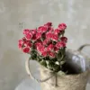 Elegant Lover Flower Head 30 Flowers with a Diameter of about 1-