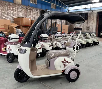 Popular electric motorcycle taxi Adult motorcycle electric electric freight bicycle passenger tricycle