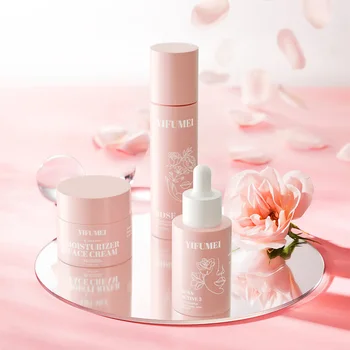 Private Label niacinamide Brightening Anti Aging Wrinkles  Retinol Cream Serum Rose Toner  Facial Skin Care Set