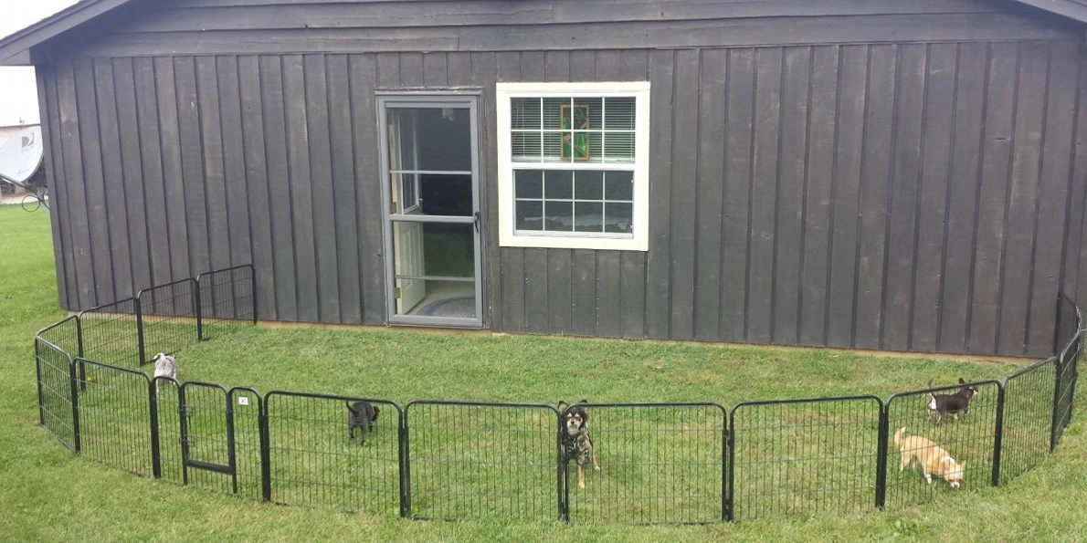 Dog Playpen temporary dog fence