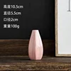 rosa 06