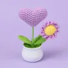 Purple-Caring Daisy Potted Plant