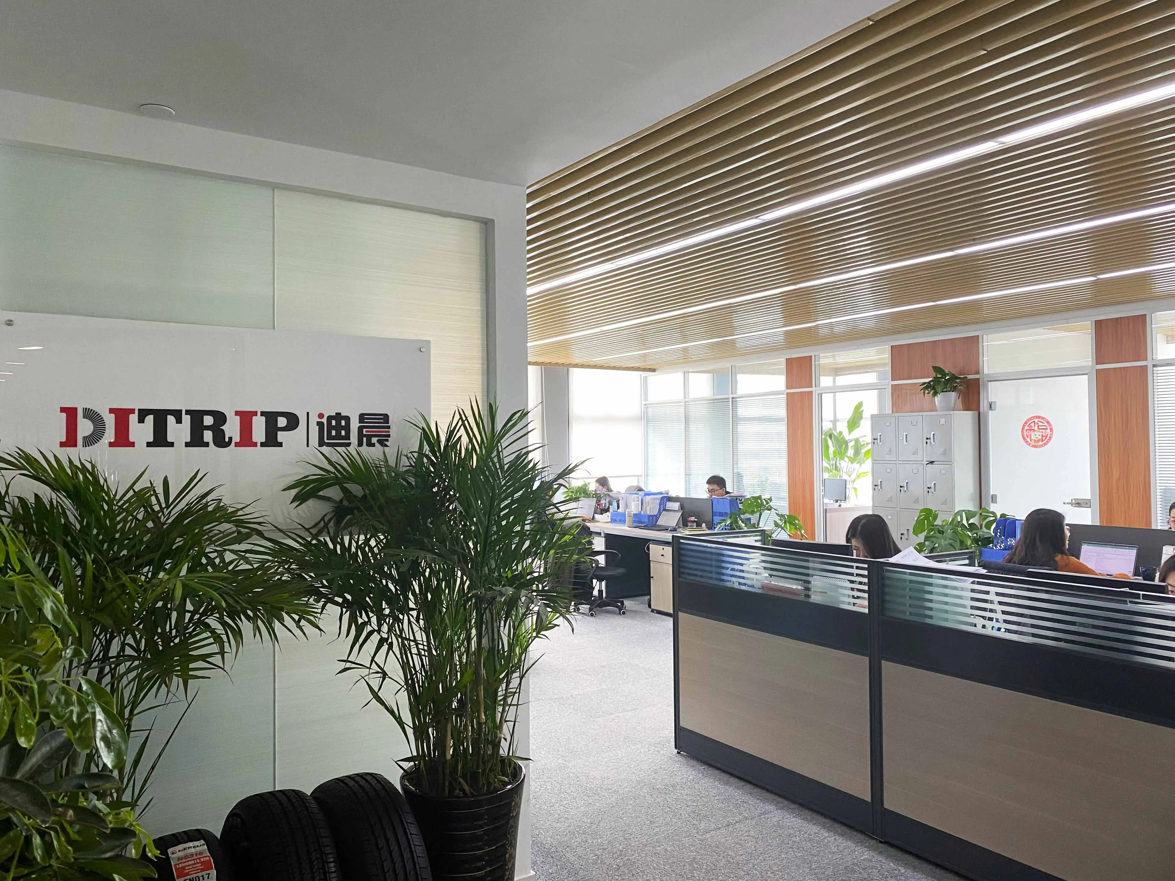 Qingdao Ditrip Tyre Co., Ltd. 1