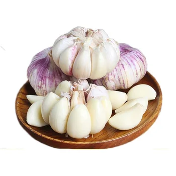 Garlic fresh normal white garlic in bulk Chinese ekspor red new crop big head ajo garlic bawang putih mesh bag