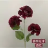 Claret