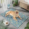 Ice Silk Pet Mat - Dog Park Blue