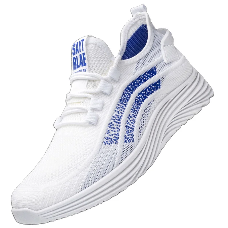 sports shoes high price