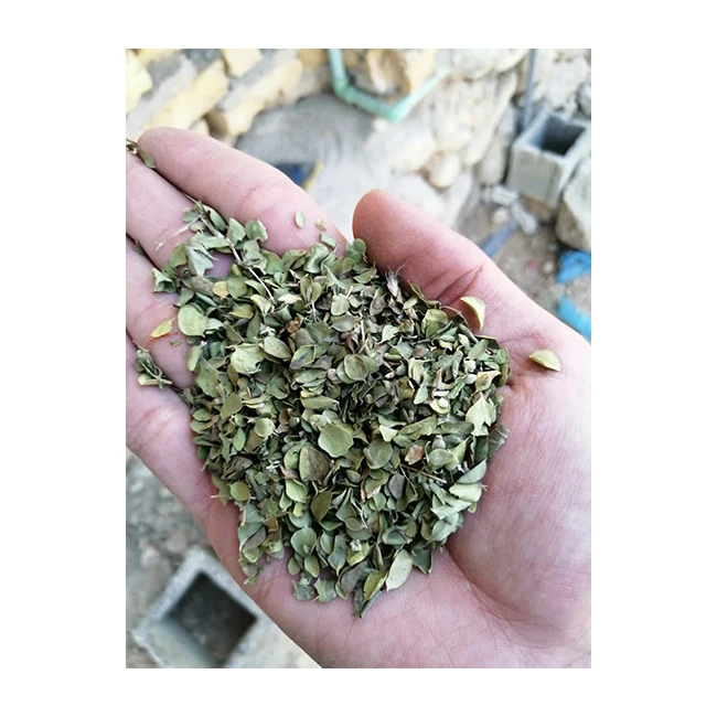 Wholesale Price Cheap Brands Supplier Purchase Dried Thyme For Sale