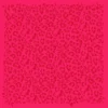 Berry leopard