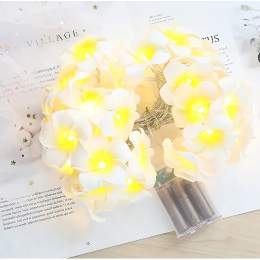 Frangipani lamp string led home lighting lanterns ins decoration