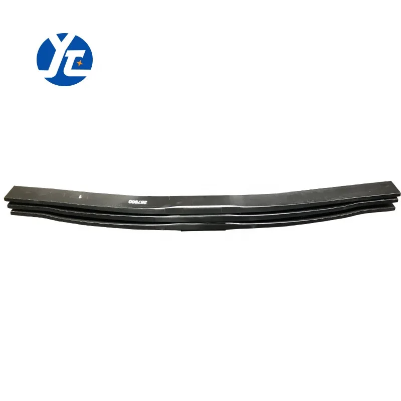 Rear Suspension Spring Assembly