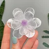 Gypsum Amethyst Flower