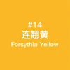Forsythia Yellow