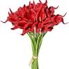 สีแดง
