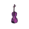 Viola