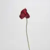 Anturio Rojo Brillante - Corazón de Amor Pequeño