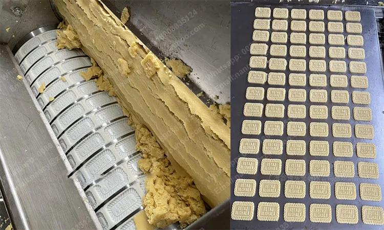 Автоматическая небольшая машина для формовки орехового печенья, цена