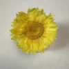 1#