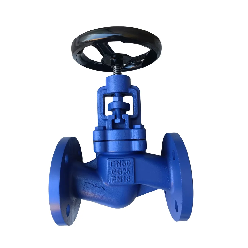 Din Dn50 Dn100 Dn150 Dn80 Dn40 Dn35 Pn10 Pn16 Flanged Globe Valve ...