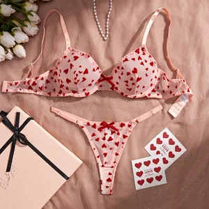 2026 New European & American Style High-Quality Lingerie Heart-Shaped Mesh Sheer Seduction Valentine's Day Sexy Set