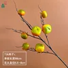 Caqui de 7 cabezas CS amarillo-verde