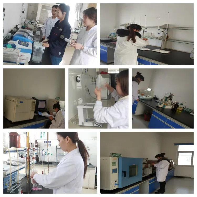 lab
