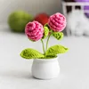 Lana all'uncinetto - Rosa Pineale
