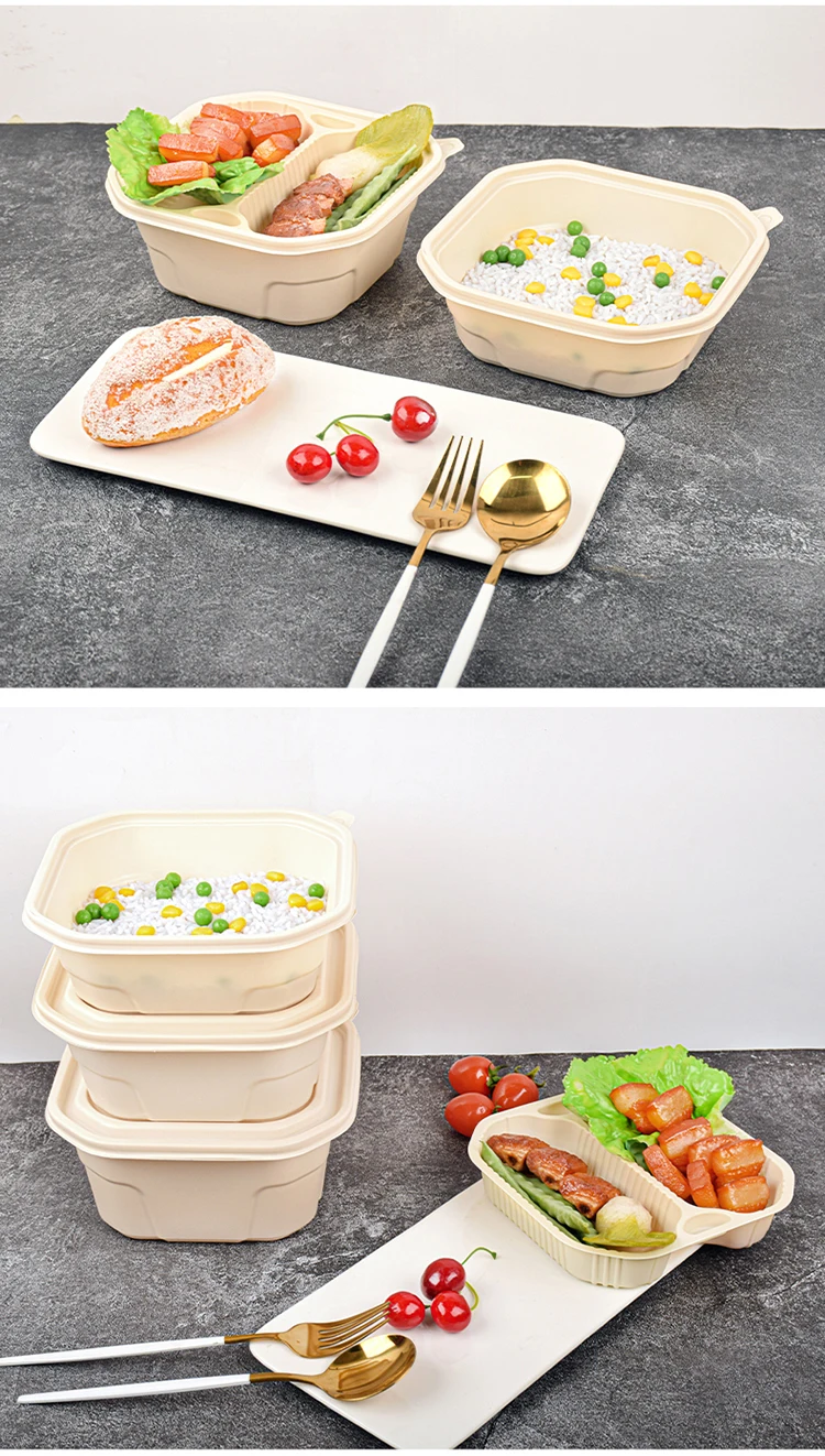 Eco Friendly Biodegradable Disposable Takeaway Bento Food Container ...