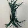 Negro y verde