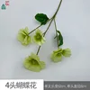 Fleur papillon à 4 têtes LS vert
