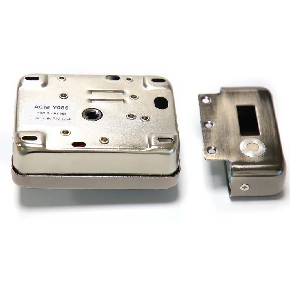 Intelligent Double Cylinder Smart Electric Rim Lock