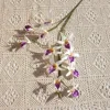 Blanco Morado