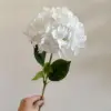 Blanco puro