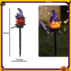 Wizard Pumpkin