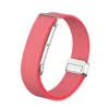 4# Berry Red